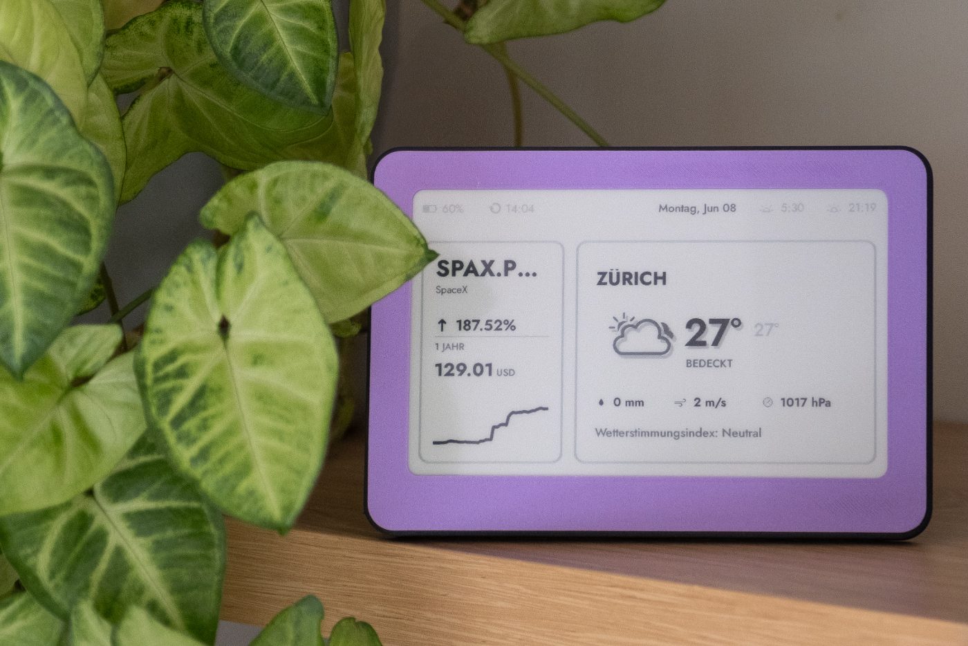 Brisa Daylo showing a market ticker and weather beside a plant